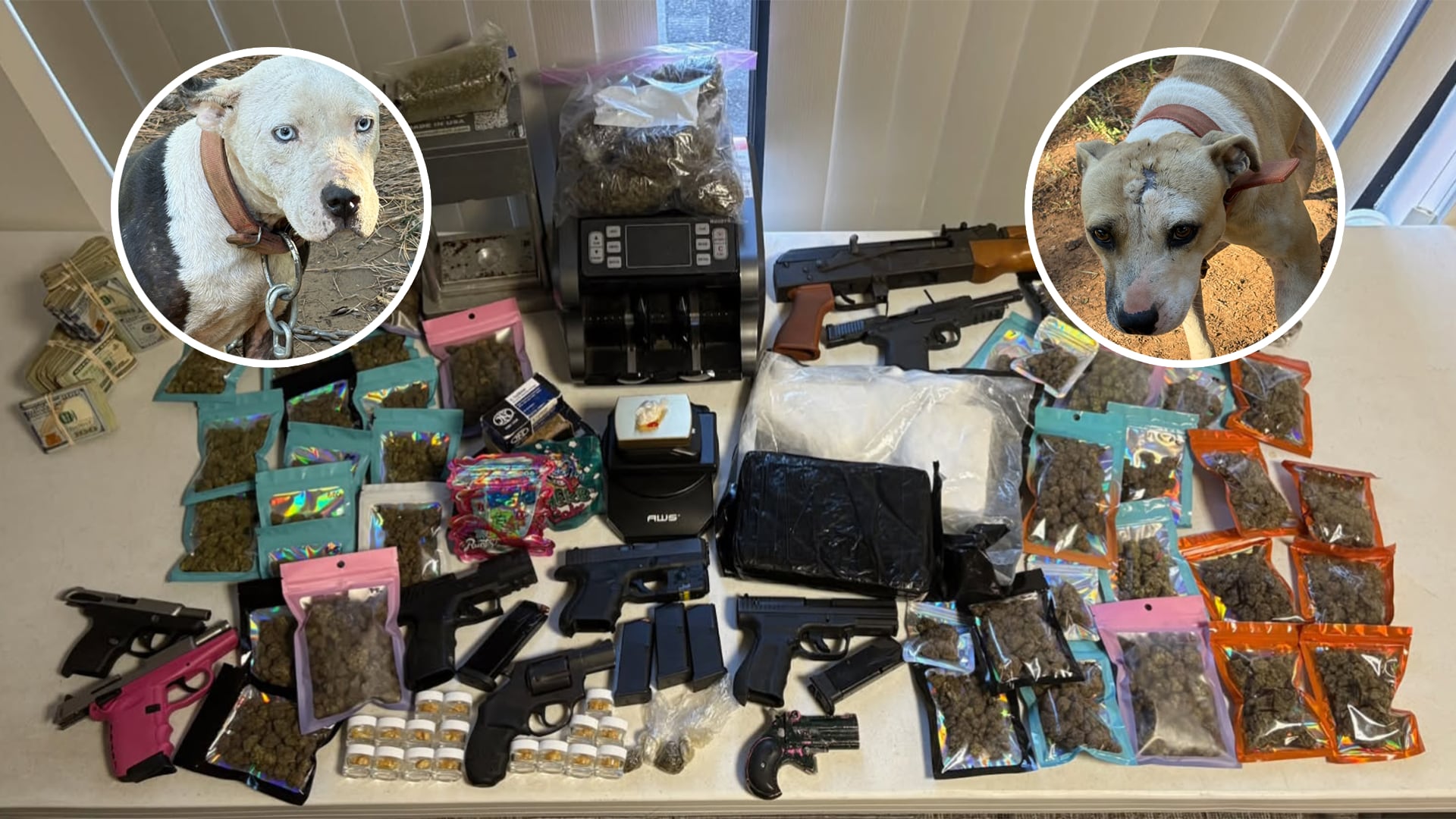 25 indicted after 47 dogs, 17 pounds of drugs seized in South Carolina ‘Duffle Bag Boyz’ operation