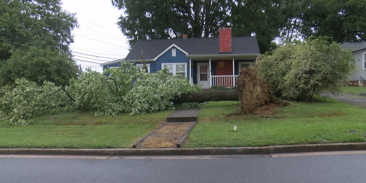 Dozens of trees topple across Charlotte after back-to-back weekend storms