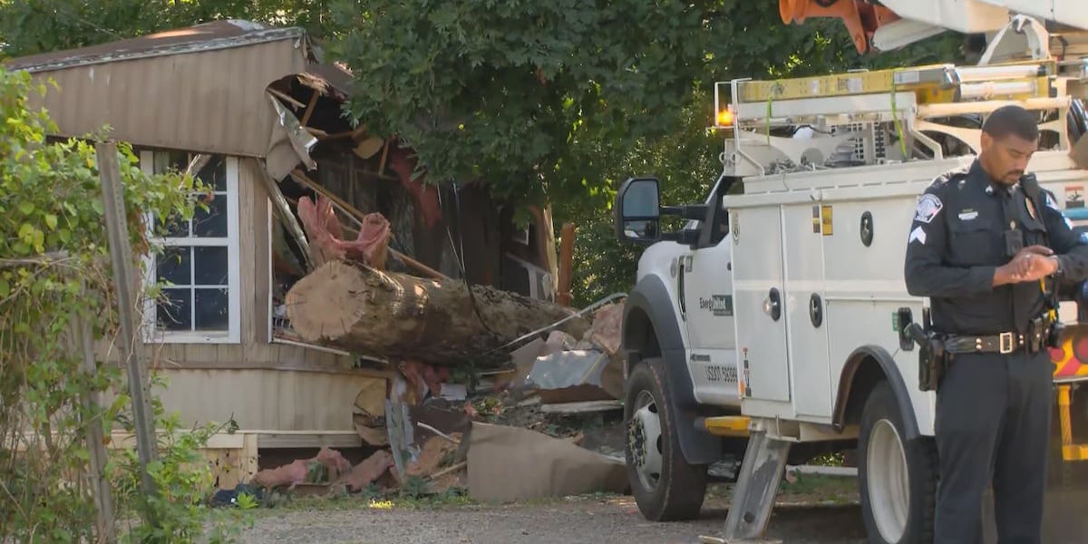 Woman dies from injuries after tree falls through mobile home in Huntersville, officials say