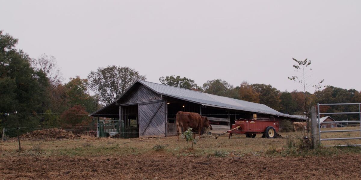 Three Rivers Land Trust awarded $1.6 million for farmland conservation