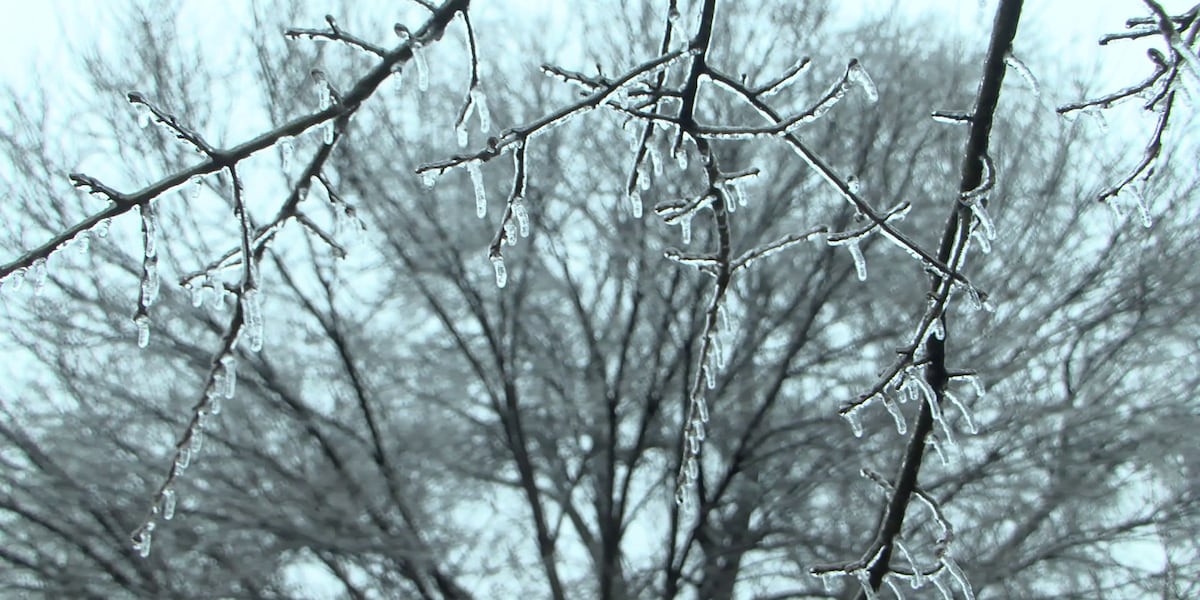 North Carolina school districts make schedule changes amid subfreezing conditions North Carolina school districts make schedule changes amid subfreezing conditions