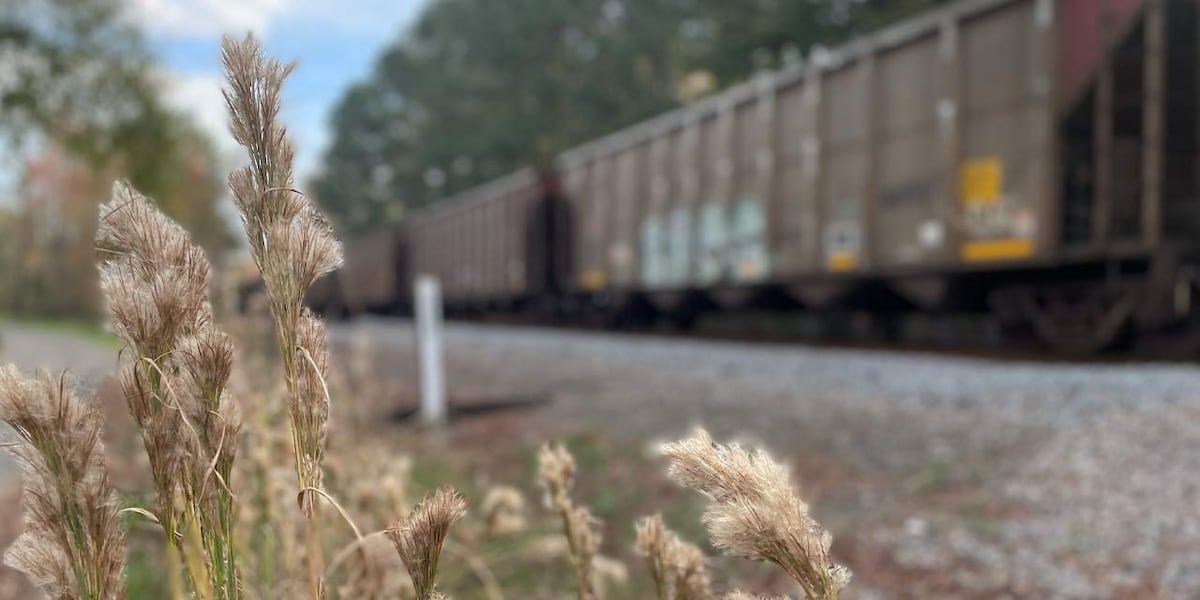 Train pulling 28 cars derails in North Carolina, officials say