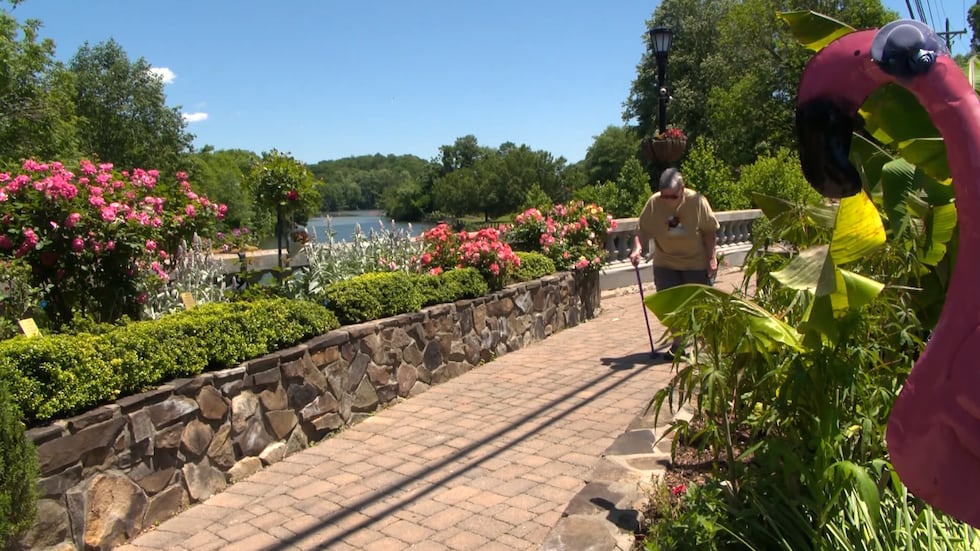 پل شکوفهدار در دریاچه لور پیش از تخریب توسط هِلن، مقصدی محبوب بود.