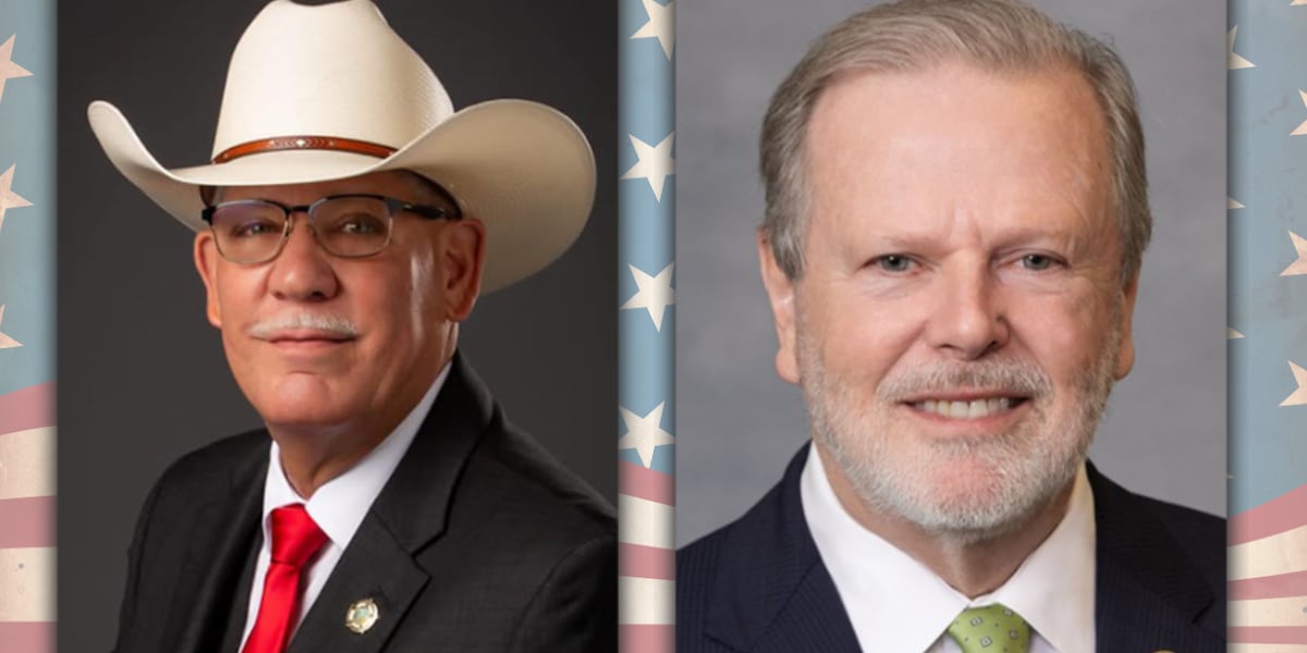 North Carolina State Senate District 26 Primary Election Results