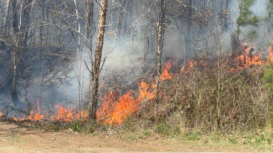 Pickens County Emergency Management announced crews are responding to two large brush fires...