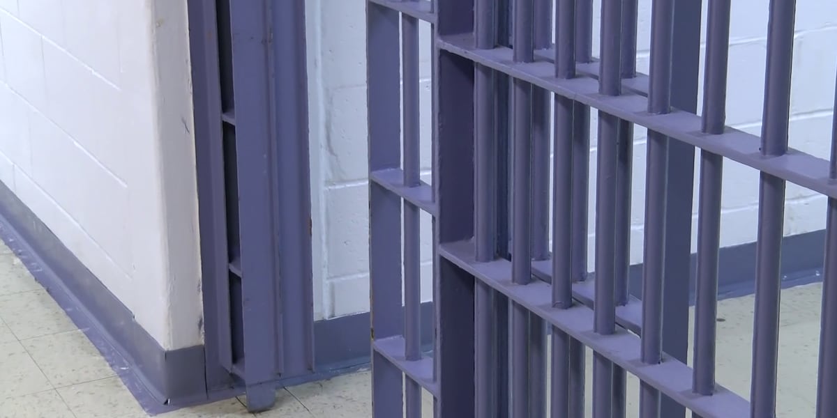 South Carolina State Jury Report highlights organized crime in prisons, cellphone use