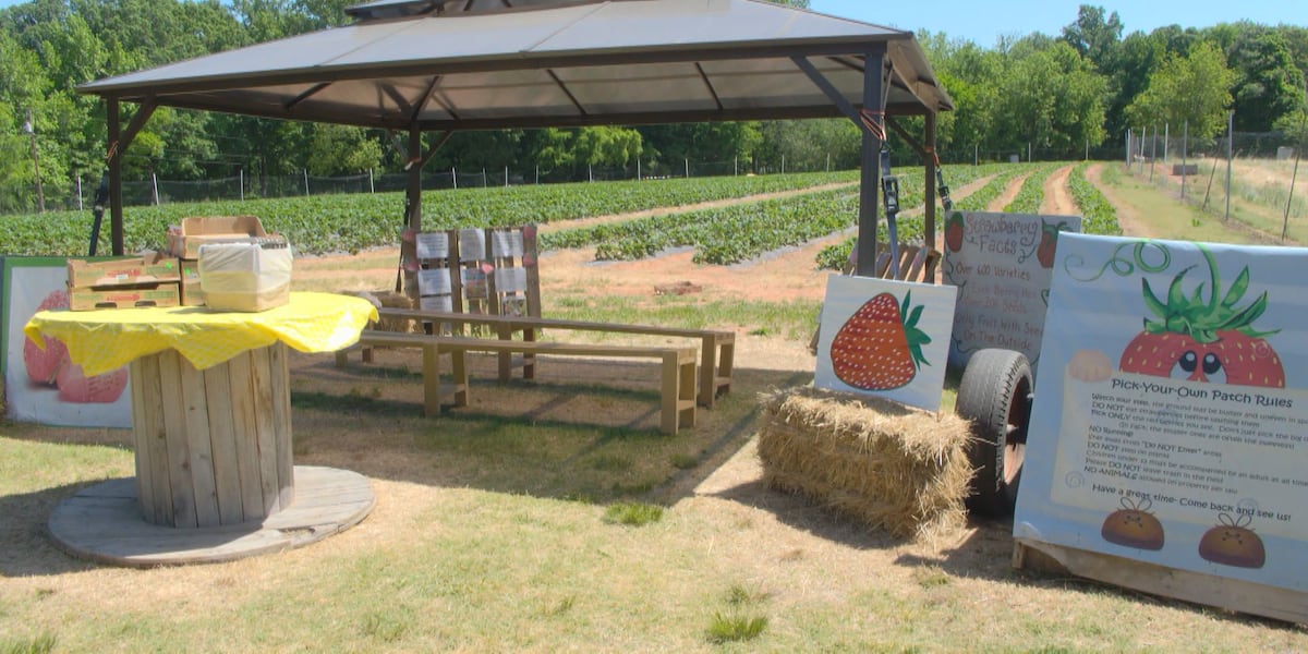 York Schools work through drought to maintain local farm partnerships