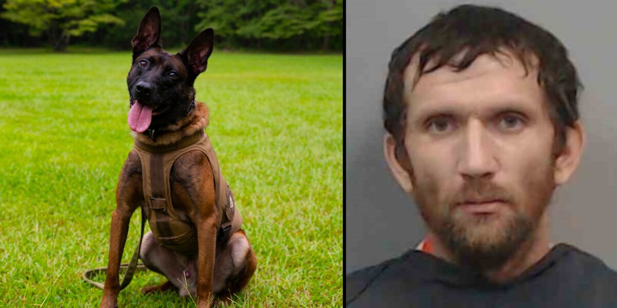 South Carolina man facing federal charge after killing police K-9 South Carolina man facing federal charge after killing police K-9