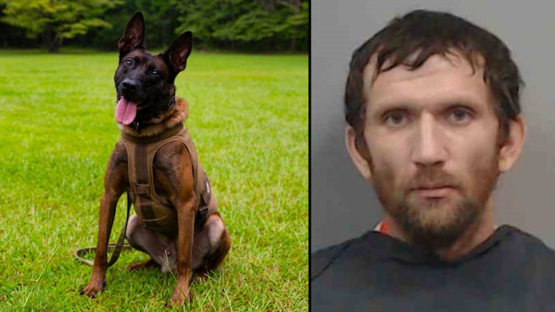 SLED K-9 "Coba" and James Robert Peterson.