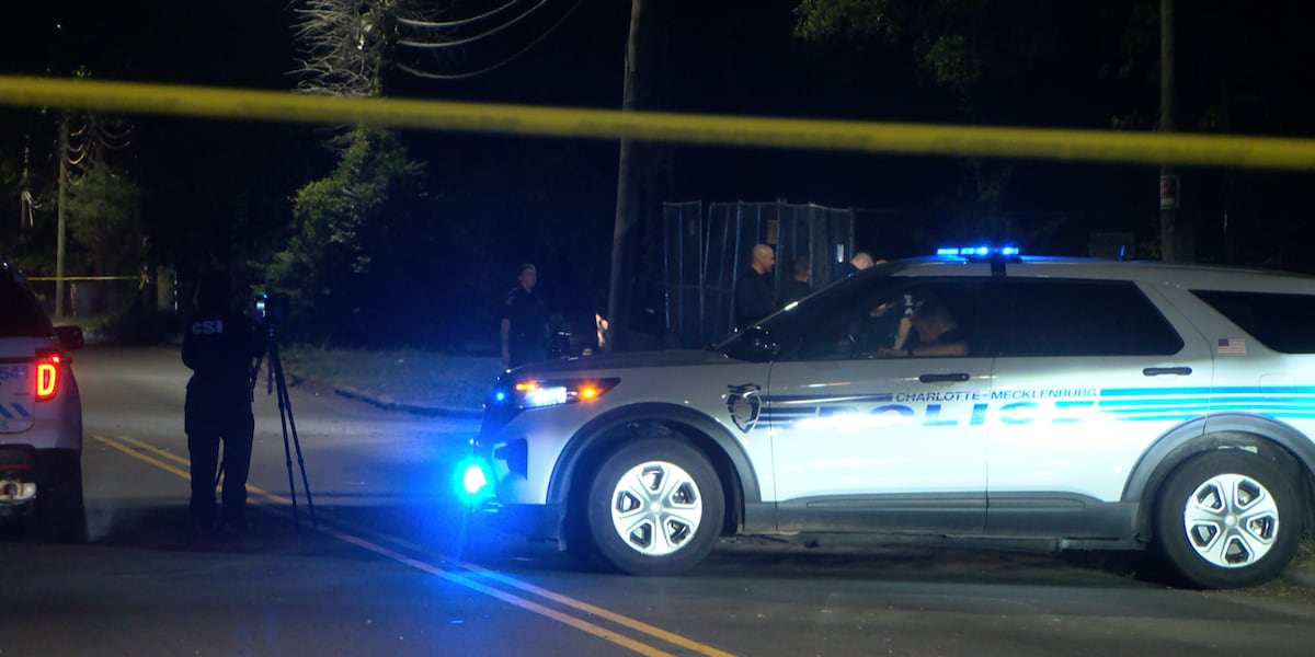 Shooting News Image