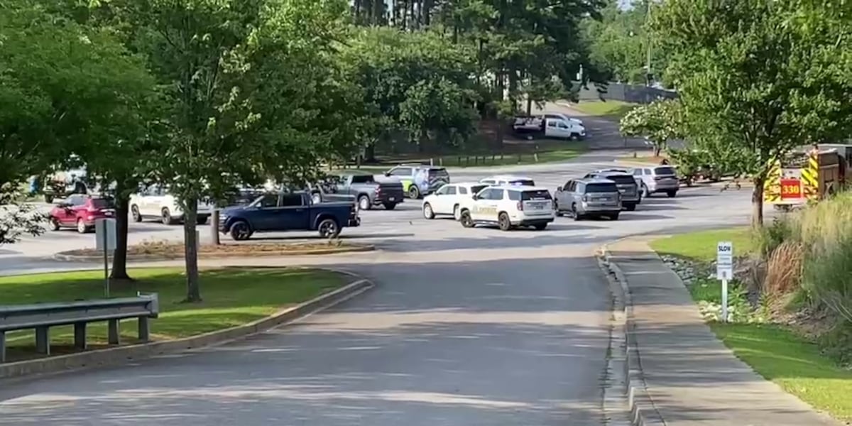 12 hospitalized after lightning strike at South Carolina lake: What we know