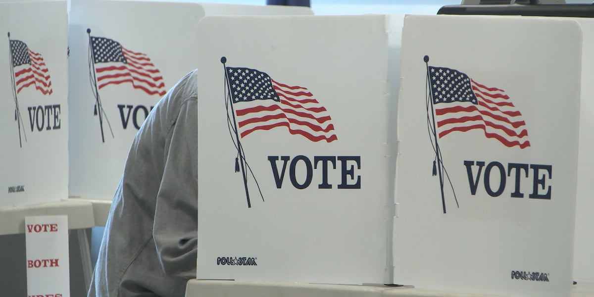 2025 municipal election season underway: What to know