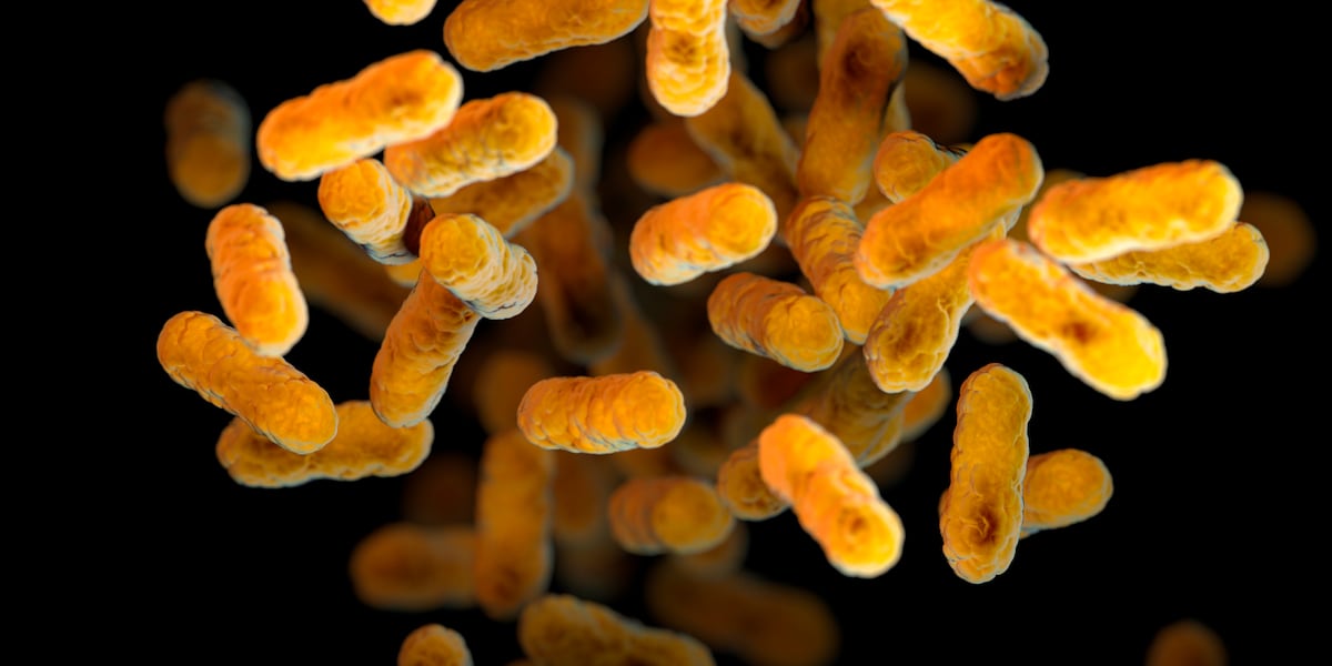 Whooping cough case confirmed at Charlotte middle school