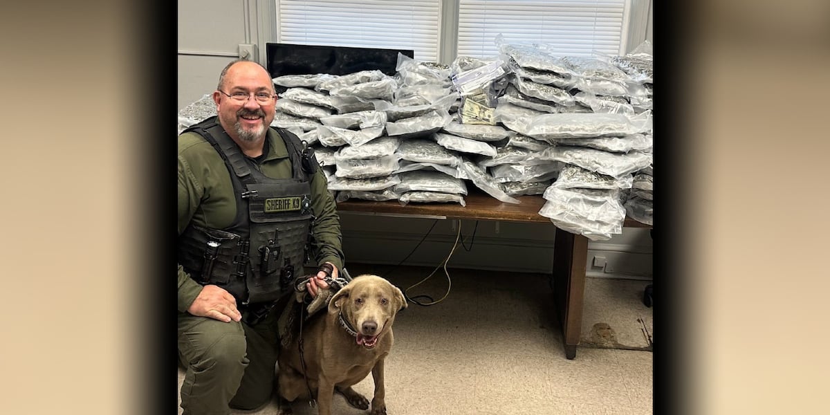 Rowan County K-9 uncovers suitcases of marijuana