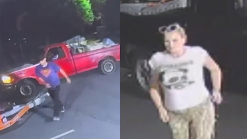 Trio stole donated blankets, beds from Cabarrus County animal shelter, director says