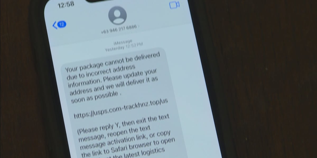 Scammers ramping up activity during holiday shopping season, expert warns Scammers ramping up activity during holiday shopping season, expert warns