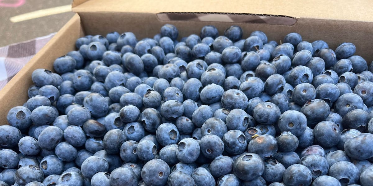 Recall for blueberries shipped to North Carolina upgraded to highest level