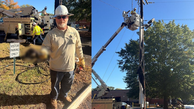 Squirrel blows transformer, sparks pole fire outside early voting site