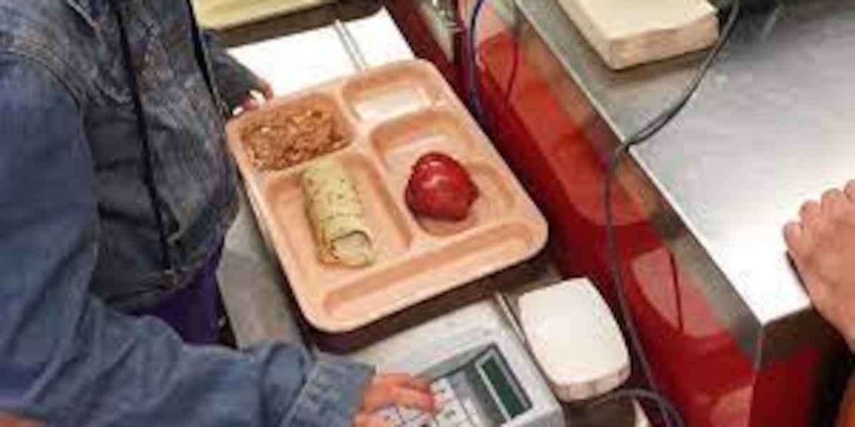 RowanSalisbury Schools school nutrition update on school meal services