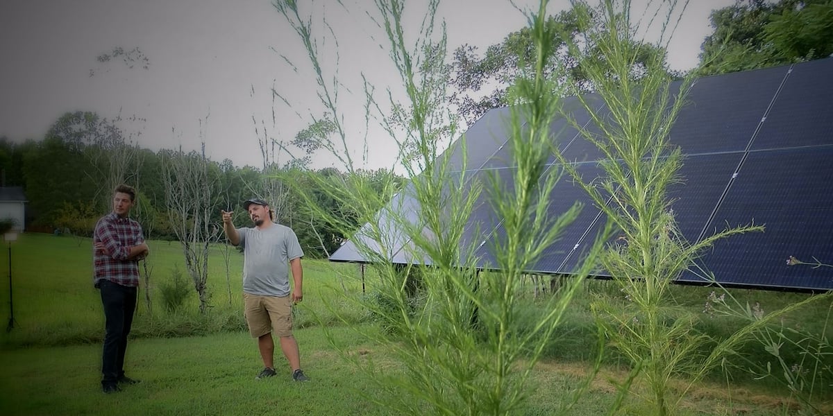 NC solar power company faces investigation, lawsuits and hundreds of ...