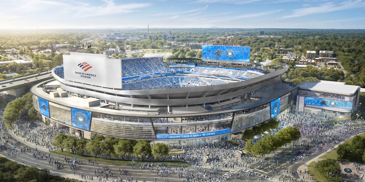 ‘It’s needed’: Tepper Sports and Entertainment reveals upgrade renderings for Bank of America Stadium