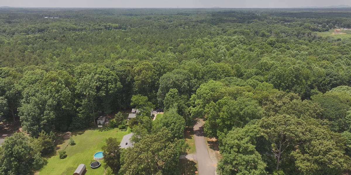 Gaston County buys 560 acres near Lake Wylie to preserve land, build future park