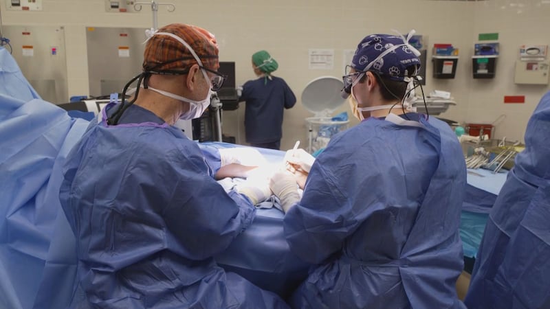 No-cost surgeries for North Carolina state employees: What to know about the Lantern Program