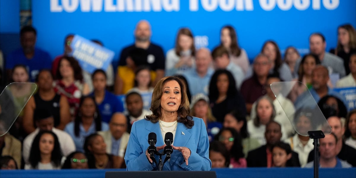 Harris Rally In Raleigh Gallery: Kamala Harris addresses supporters at Raleigh rally