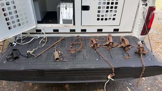 Leg traps found at Mecklenburg County park