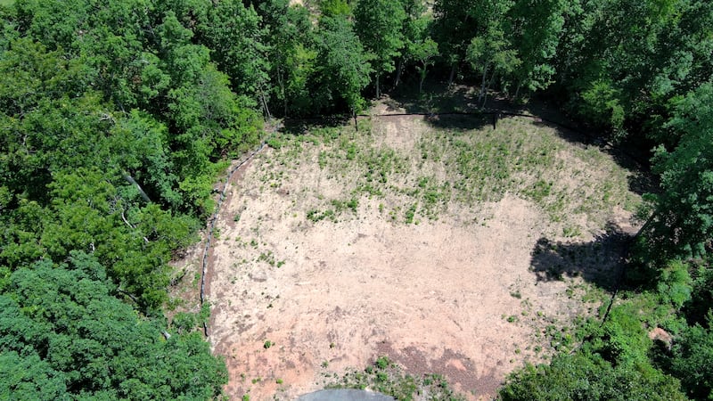 Lillie and Mike Mearse bought this lot with plans to build a custom home where they’d spend...