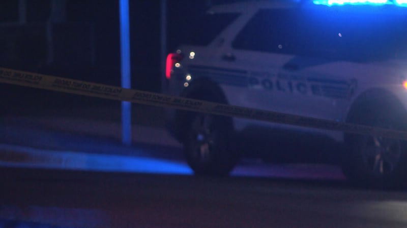 Charlotte-Mecklenburg police (generic photo)