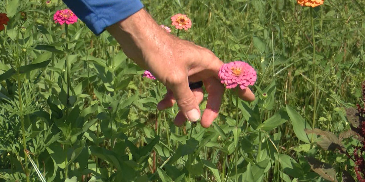 Sweating it out: Charlotte farmers eager for fall amid September heat wave
