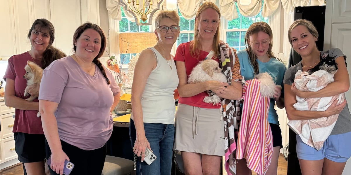 Pet rescue caring for dozens of dogs after Charlotte pet store’s license revoked Pet rescue caring for dozens of dogs after Charlotte pet store’s license revoked