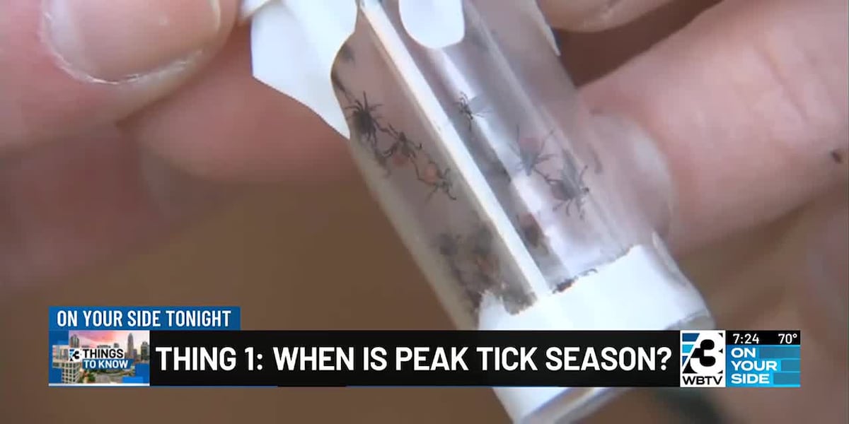 Ft Ticks 3 Things to Know about tick season