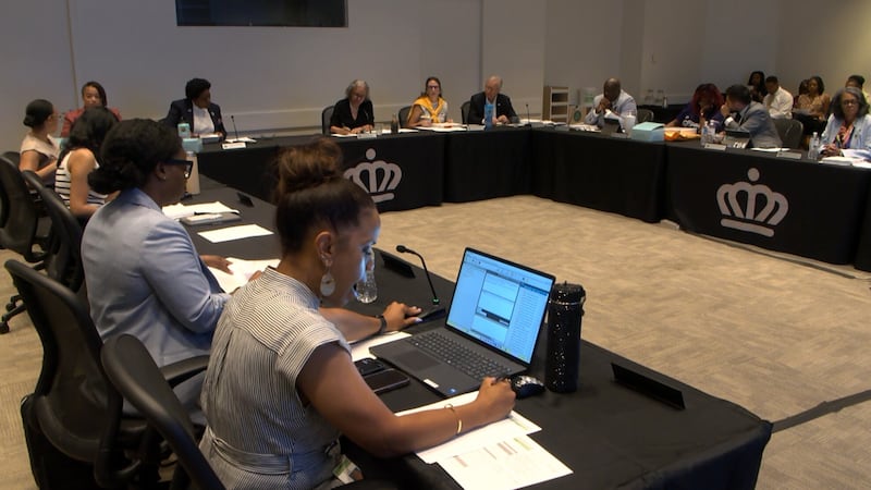 City Council members submitted top picks after interviewing more than 40 applicants