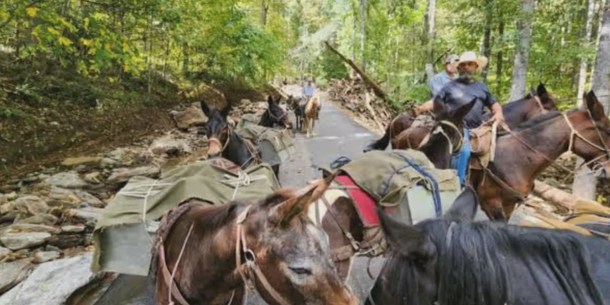 North Carolina organizations using experience from Helene to help with Texas flooding
