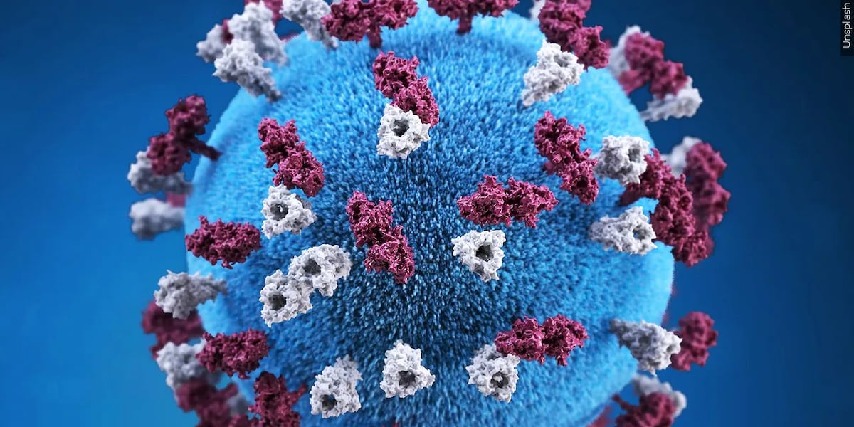 Measles reported in South Carolina for first time since 2024