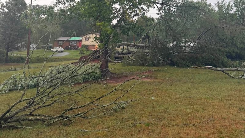 Tornado touches down amid Friday storms, officials confirm